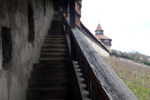 Esslingen mit dem ÖPNV Band 1 GPS