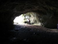 Jahr 2019 Bildergalerie